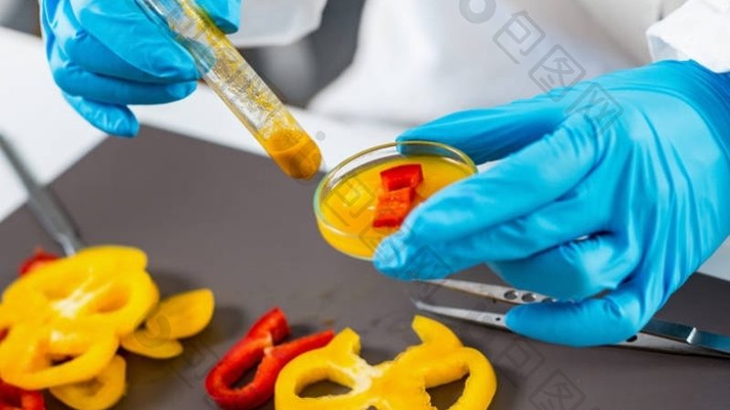 餐饮加盟选址：如何避开潜在风险，找到黄金地段**