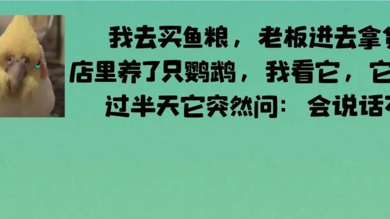 食品批发报价网站哪个好